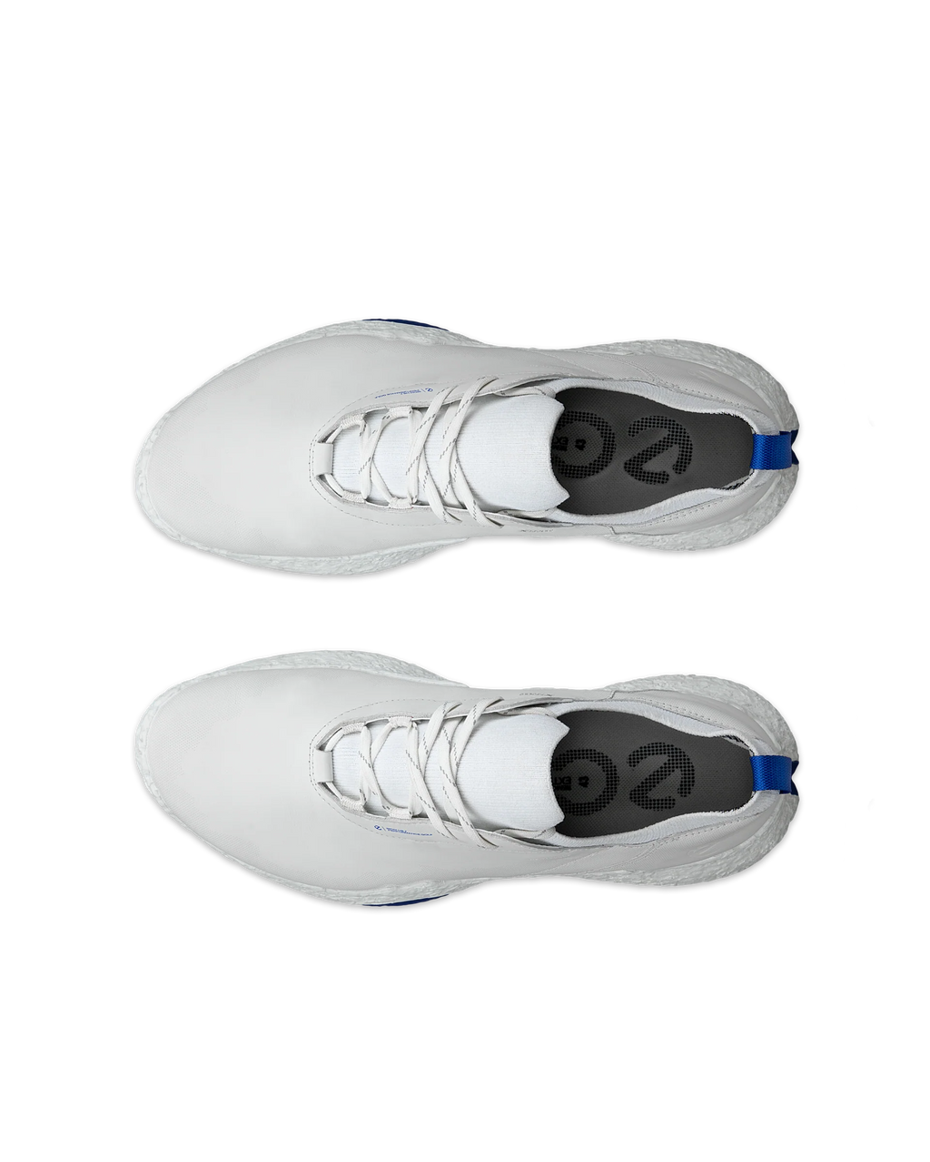 ECCO GOLF BIOM H5 -- WHITE