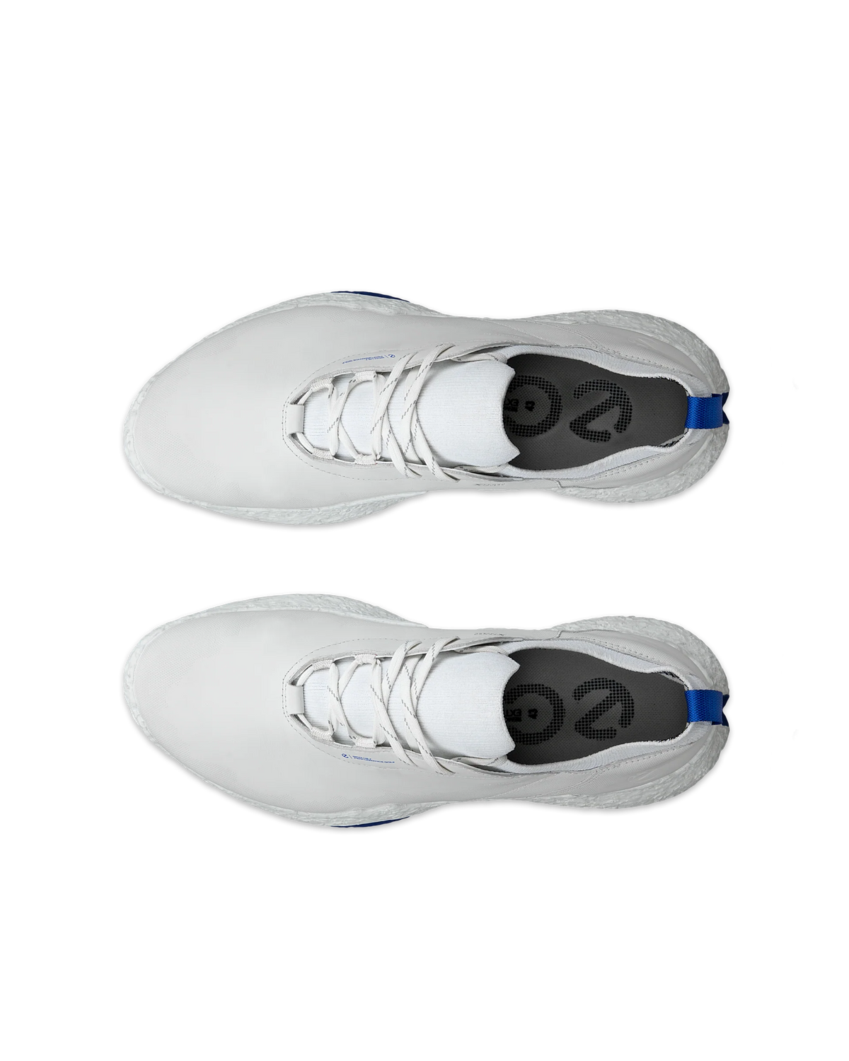 ECCO GOLF BIOM H5 -- WHITE